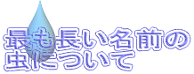 最も長い名前の 虫について