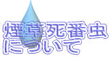煙草死番虫 について