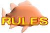 RULES 
